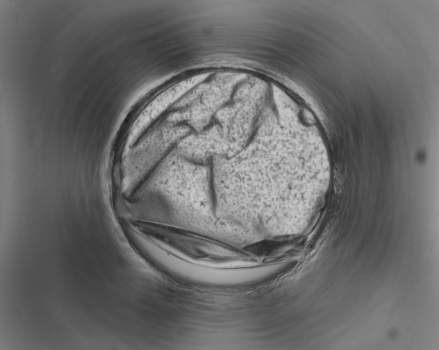 X0000116870987201001191719
