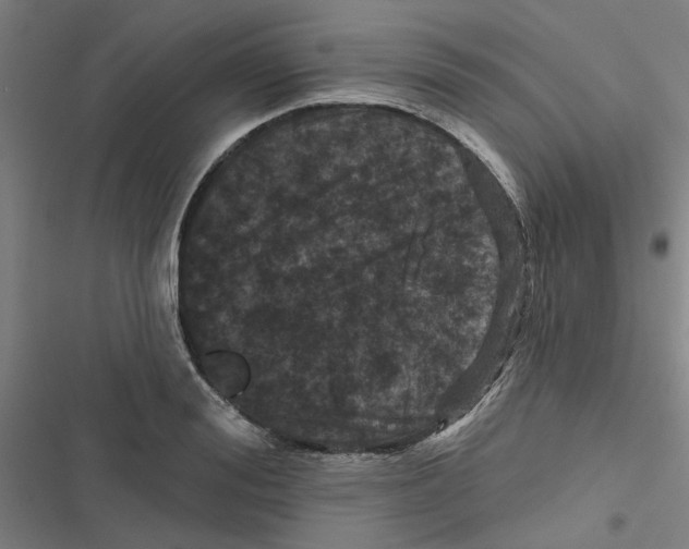 X0000116870988201001191719