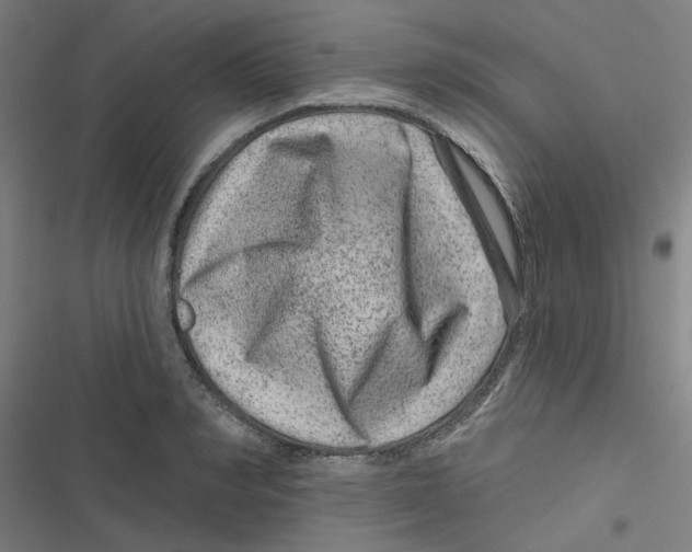 X0000116870990201001191719