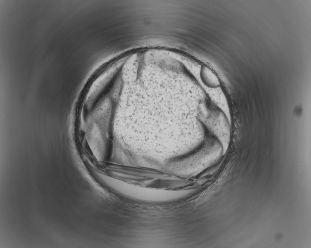 X0000116870991201001191719