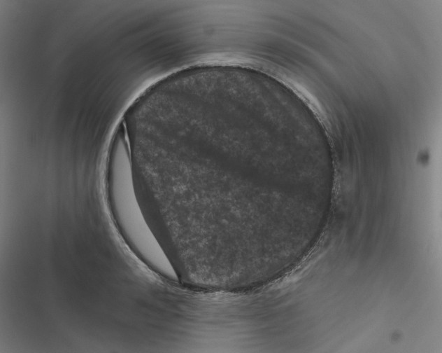 X0000116870992201001191719