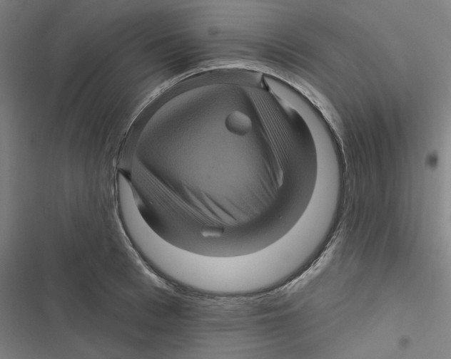 X0000116870993201001191719