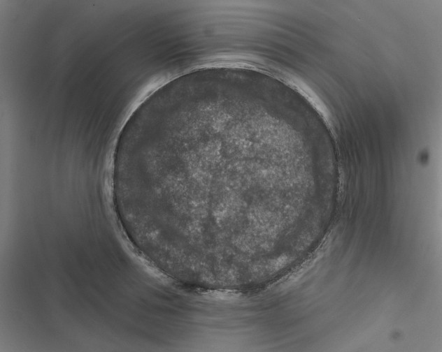 X0000116870994201001191719