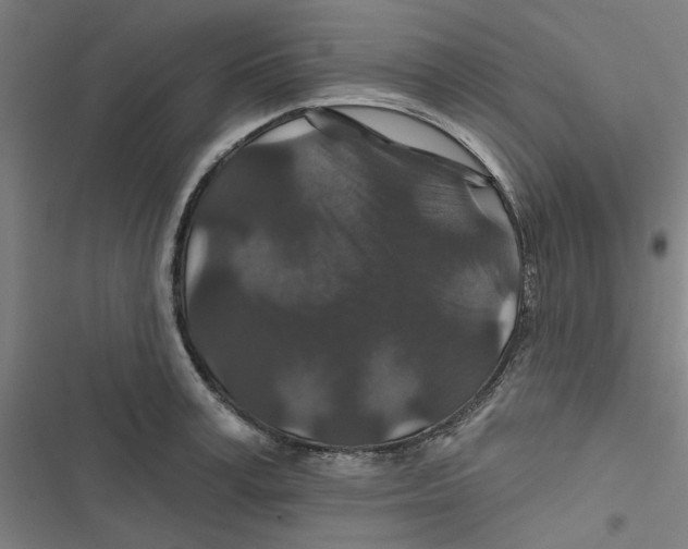 X0000116870995201001191719
