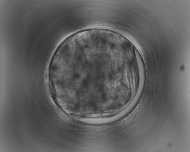 X0000116870996201001191719