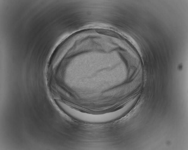 X0000116870997201001191719