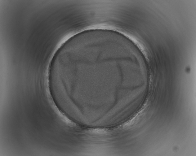 X0000116870998201001191719