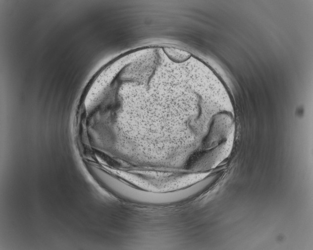 X0000116870999201001191719