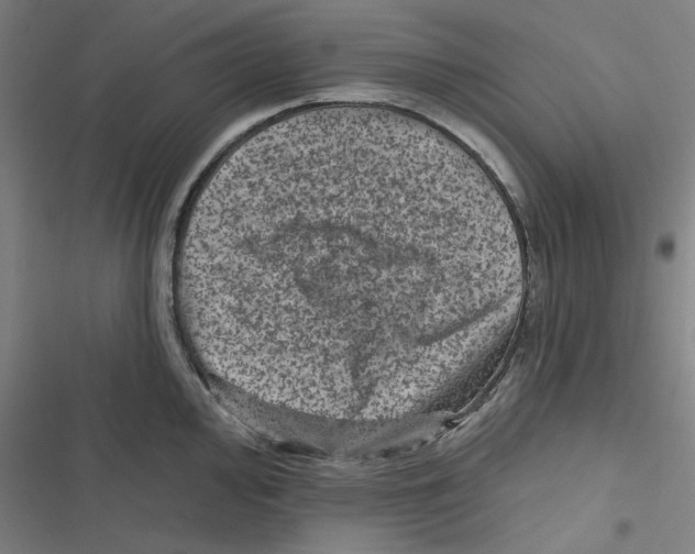 X0000116871000201001191719