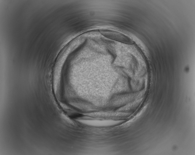 X0000116871001201001191719