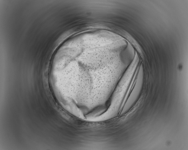X0000116871002201001191719