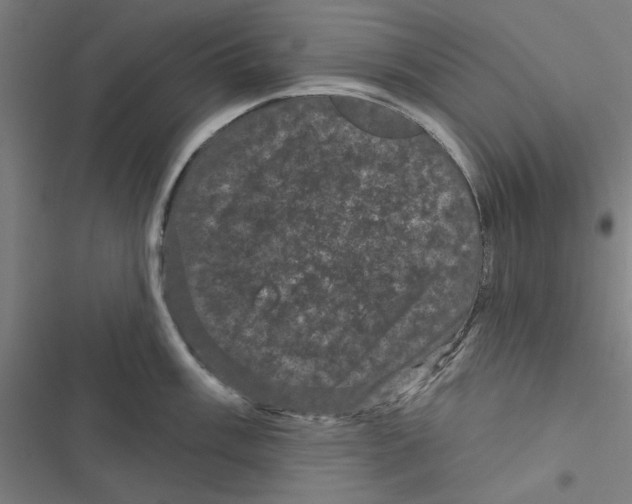 X0000116871003201001191719
