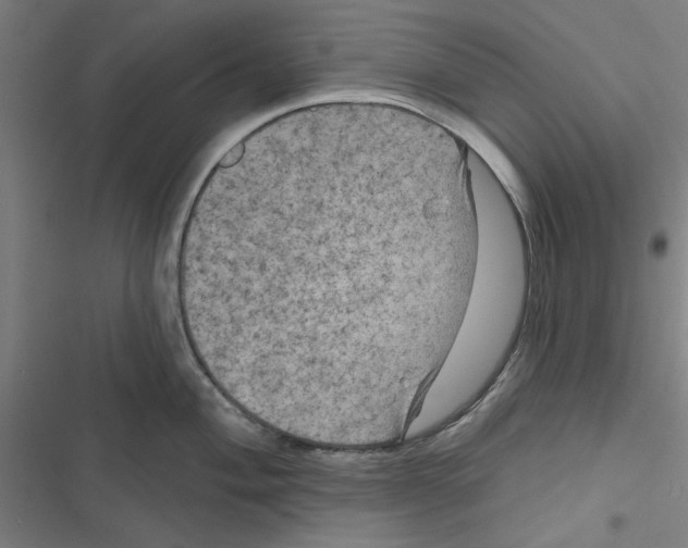 X0000116871004201001191719