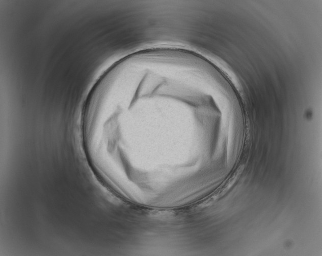 X0000116871006201001191719