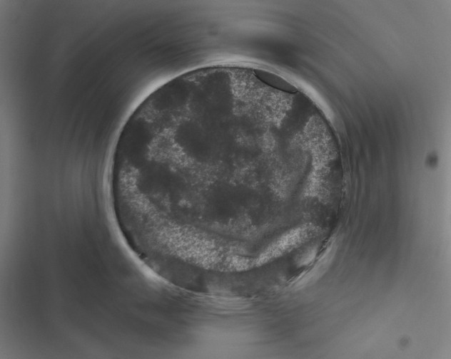 X0000116871007201001191719