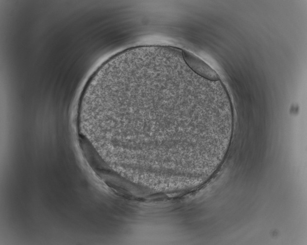 X0000116871008201001191719