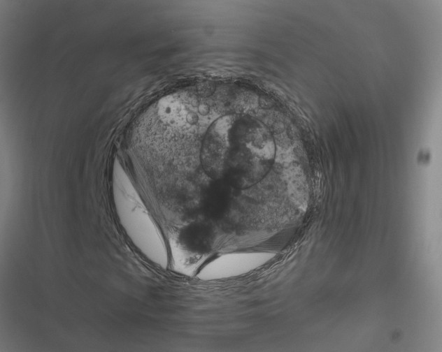 X0000116871009201001191718
