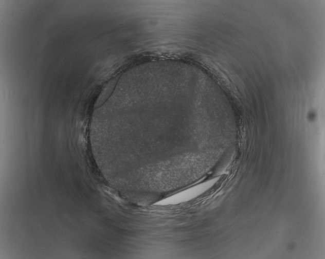 X0000116871010201001191718