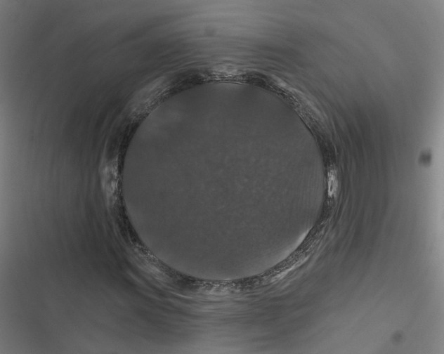 X0000116871011201001191718