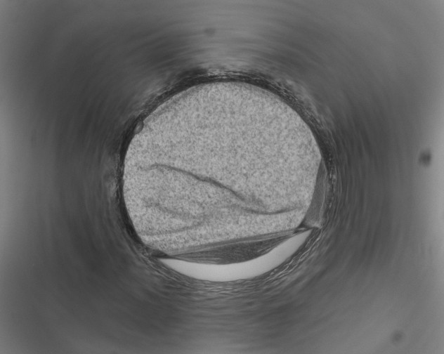 X0000116871012201001191718