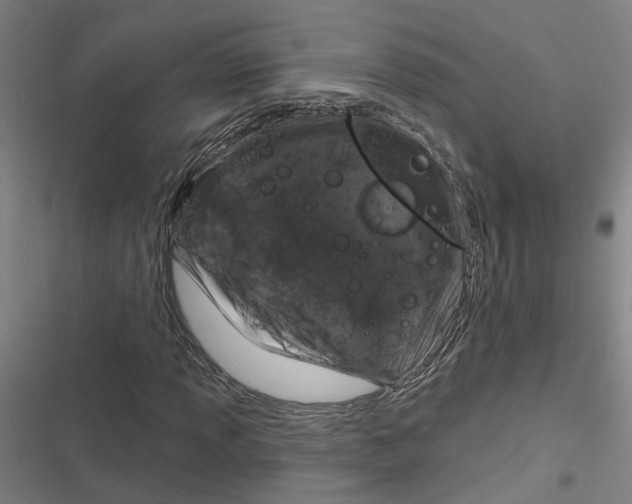 X0000116871013201001191718