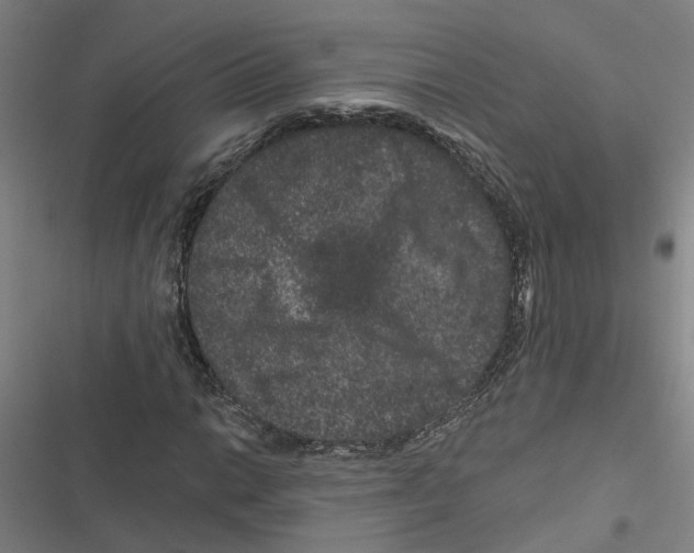 X0000116871014201001191718