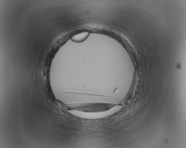X0000116871016201001191718