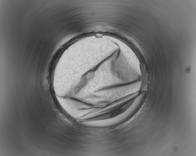 X0000116871018201001191718