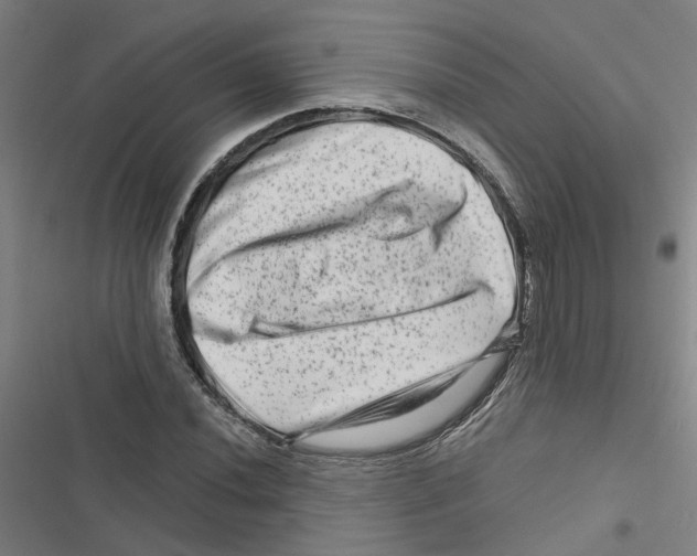 X0000116871020201001191718