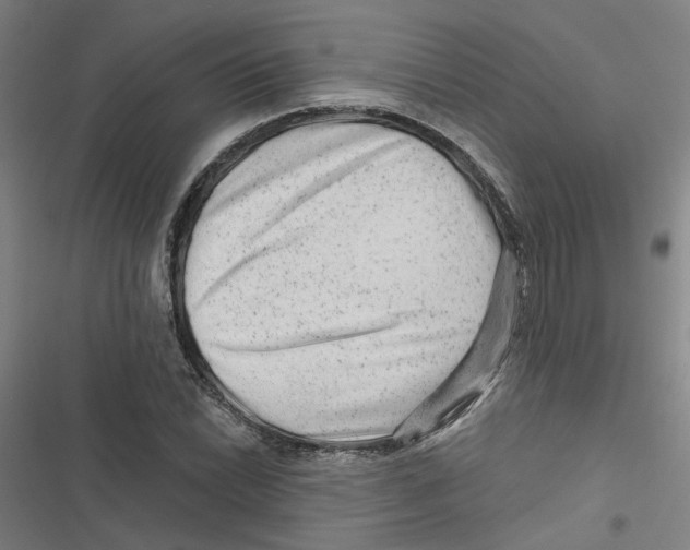 X0000116871022201001191718