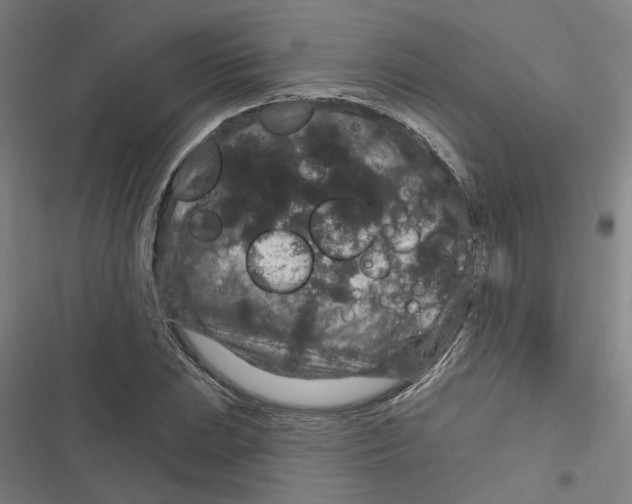 X0000116871023201001191718