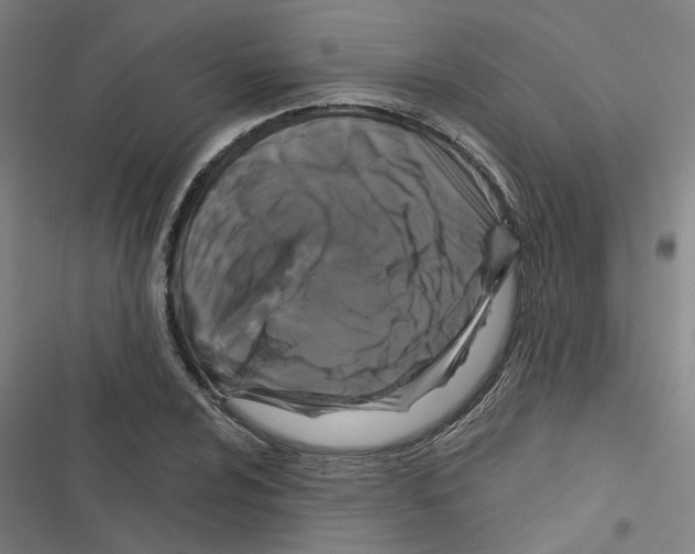 X0000116871024201001191718