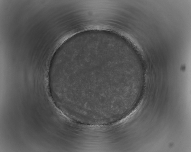 X0000116871025201001191718