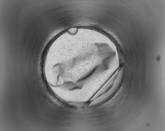 X0000116871026201001191718