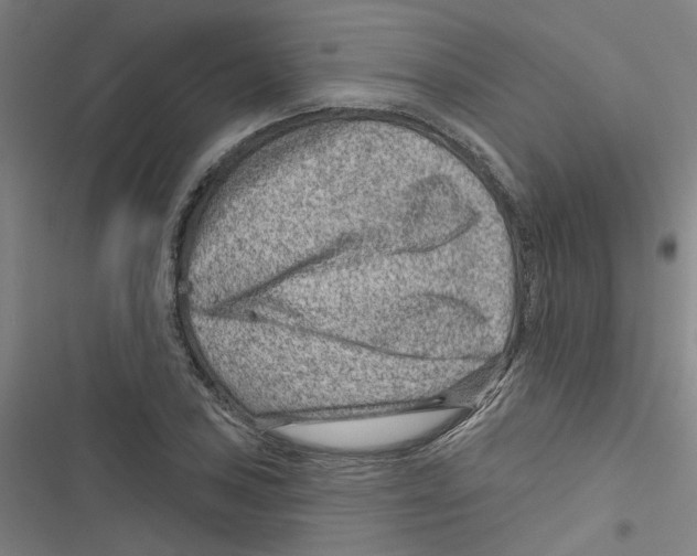 X0000116871027201001191718