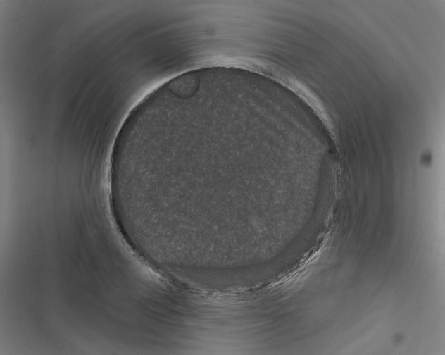 X0000116871028201001191718