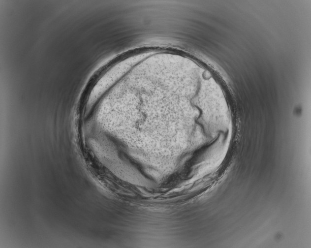 X0000116871029201001191718
