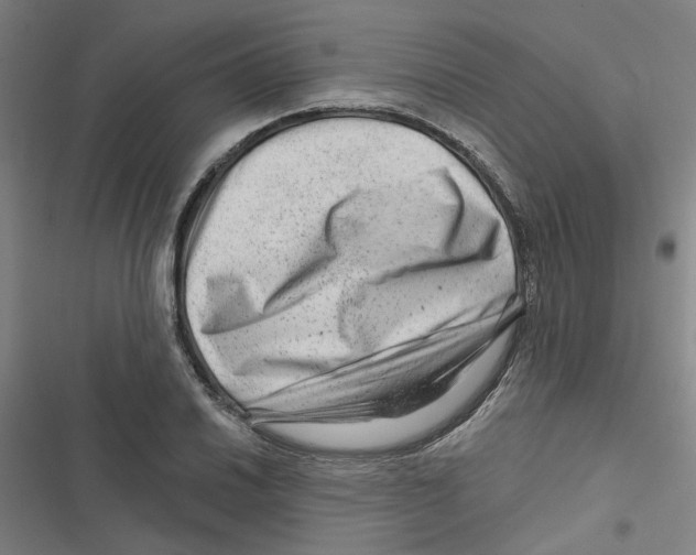 X0000116871030201001191718