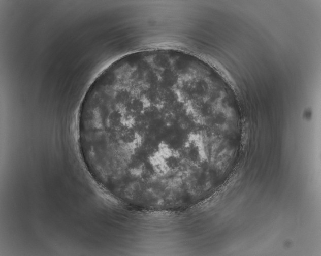 X0000116871031201001191718