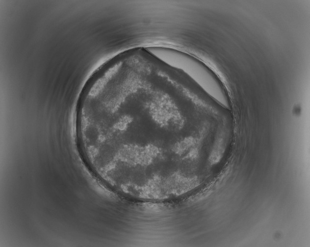 X0000116871032201001191718