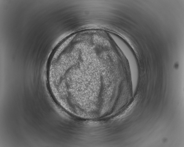 X0000116871034201001191718