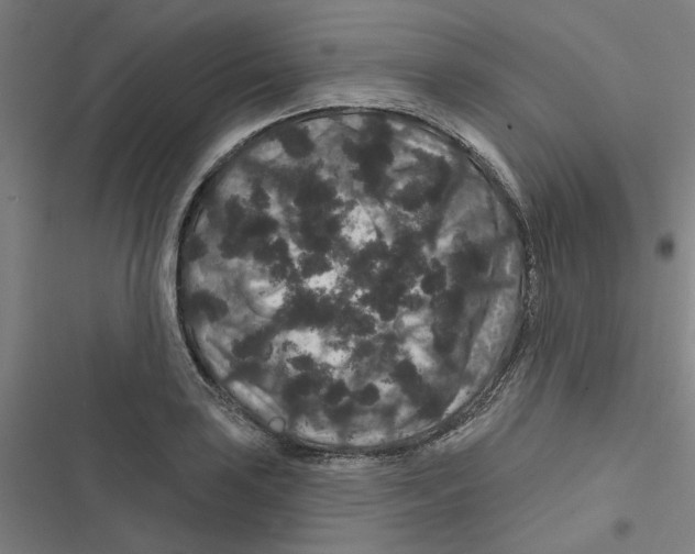 X0000116871035201001191718