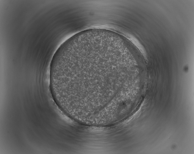 X0000116871036201001191718