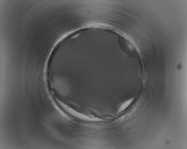 X0000116871037201001191718