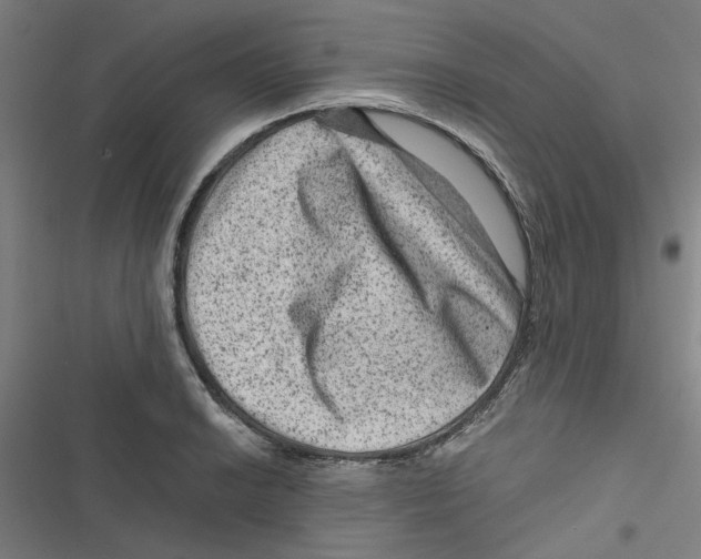 X0000116871038201001191718