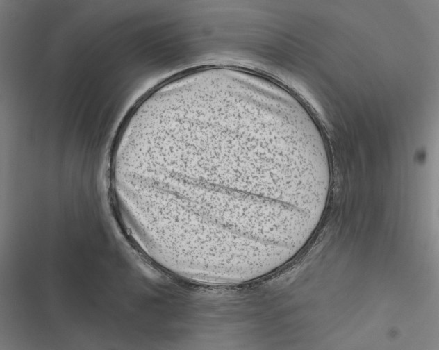 X0000116871040201001191718