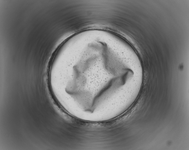 X0000116871042201001191718
