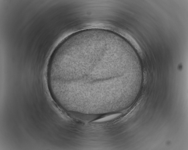 X0000116871043201001191718
