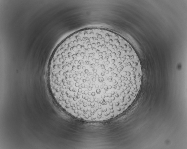 X0000116871044201001191718
