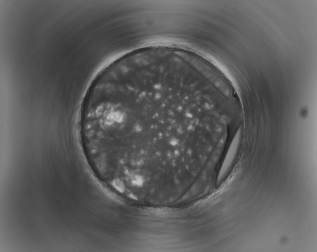 X0000116871045201001191718